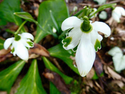 P1020120.jpg