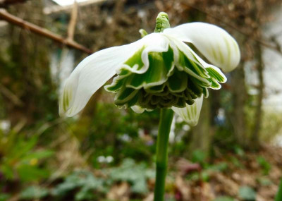 P1020119.jpg