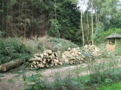 Nach_der_Schlacht_2.09.06_031.jpg