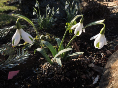 DSCN9267_1187.JPG