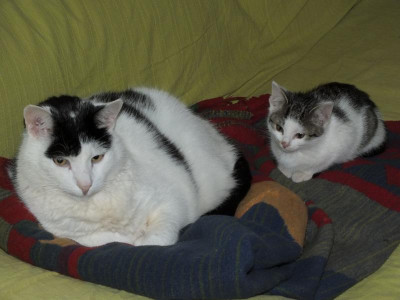 DSCF5096.JPG
