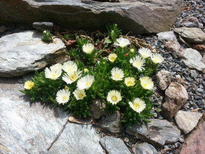 20150531_152142.jpg