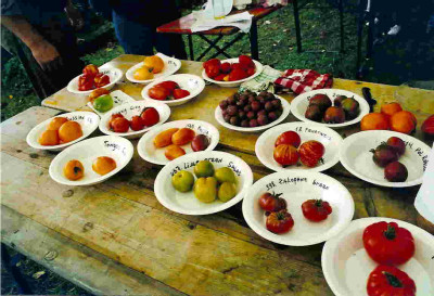 Tomatenfest_1.jpg