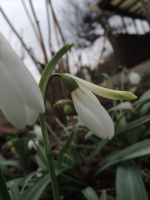DSCN9278_1190.JPG