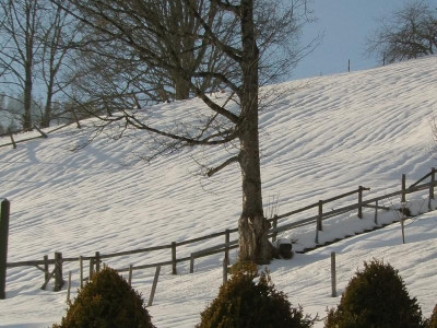 Schneedecke.JPG