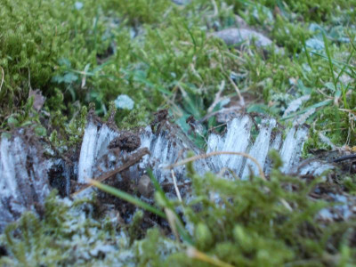 Februar 2016 007.JPG