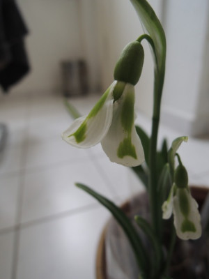 DSCN9288_1192.JPG