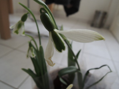 DSCN9289_1193.JPG