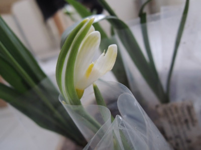 DSCN9290_1195.JPG