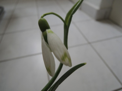 DSCN9292_1194.JPG
