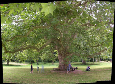 pano2.jpg