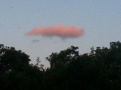 20150530_210607.jpg