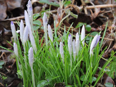 DSCN3082.JPG