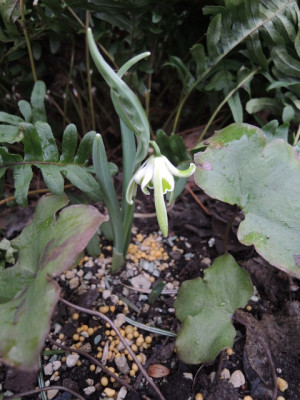 DSCN9317_1196.JPG