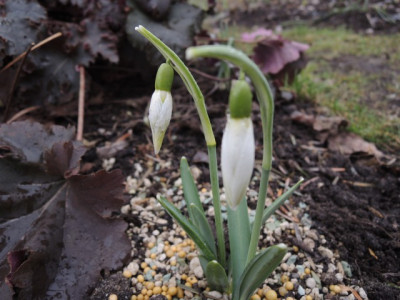 DSCN9313_1197.JPG