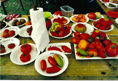 Tomatenfest_2.jpg
