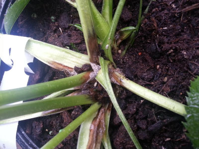 20160221_105047.jpg