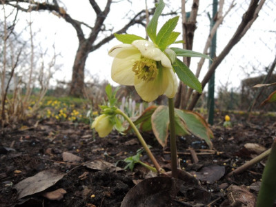 DSCN9324_1198.JPG