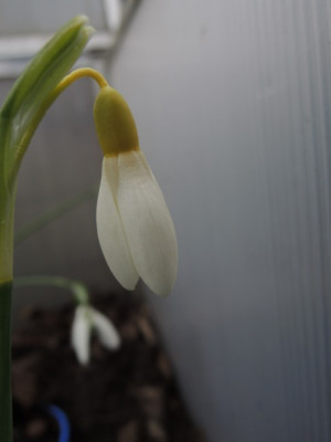 DSCN9363_1208.JPG