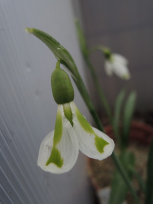 DSCN9360_1207.JPG