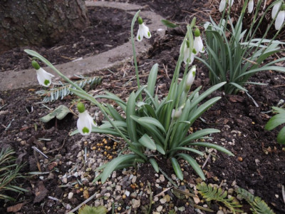 DSCN9302_1213.JPG