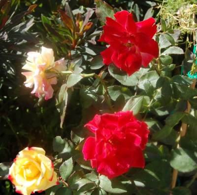 Sieben_Farben_T2_0116_82.jpg