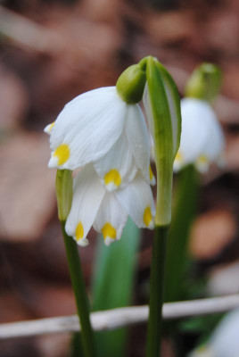feb 082.jpg