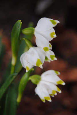 feb 066.jpg