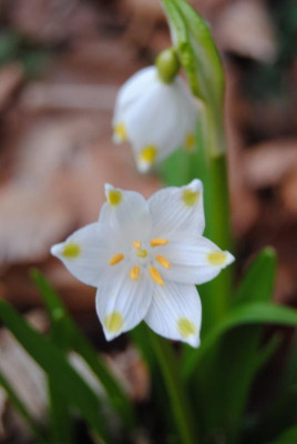 feb 086.jpg