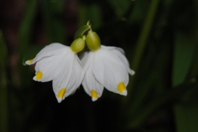 feb 092.jpg