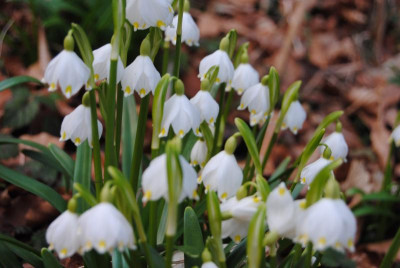 feb 084.jpg