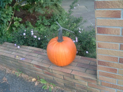 1._Halloween-Kurbis.jpg