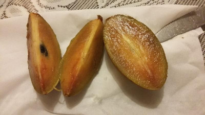 unbekannte_frucht_007ab.jpg