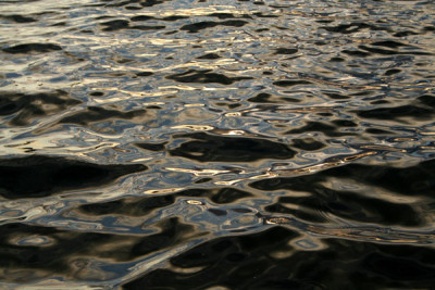 Abends-an-der-Donau2.jpg