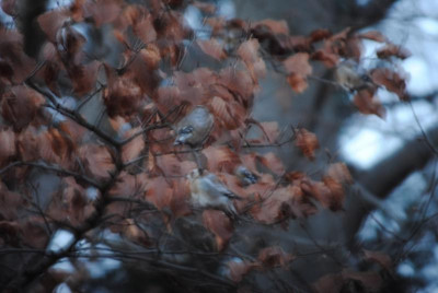 feb 055.jpg