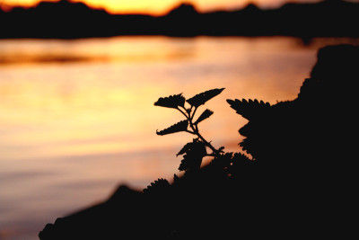 Abends-an-der-Donau-3.jpg