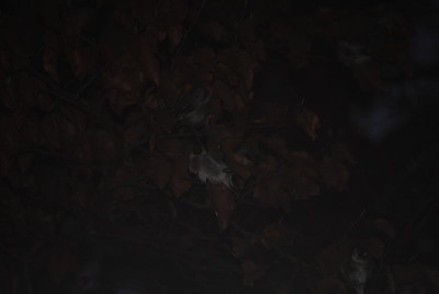 feb 054.jpg