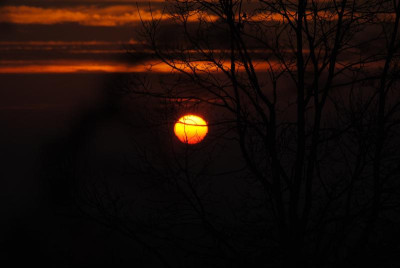 feb 058.jpg