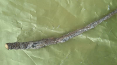 20160223_124623.jpg