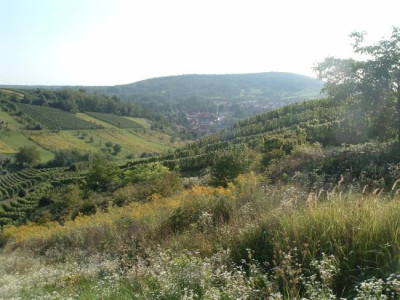 Kraichgauer_Hugelland.jpg