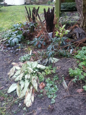 20160223_074738.jpg