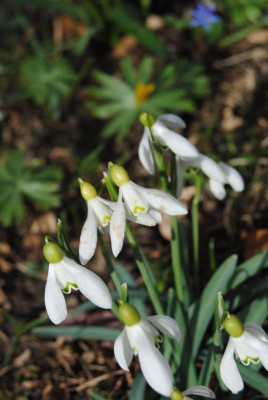 feb 031.jpg