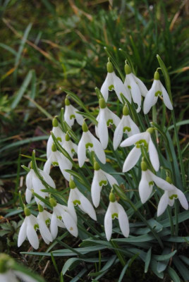 feb 059.jpg