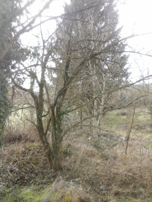CAM02395.jpg