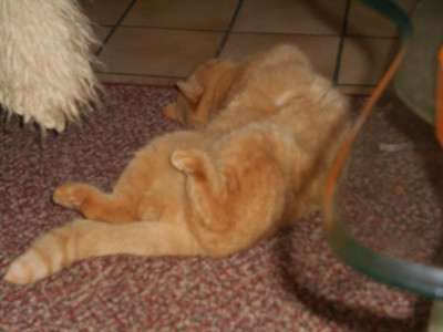 DSCN0474.JPG