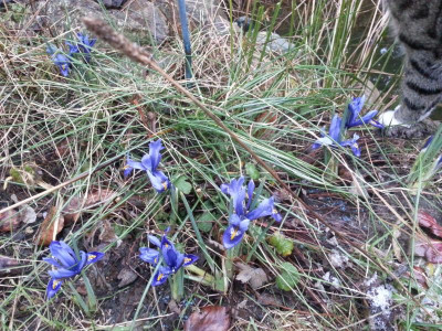 20160226_072759.jpg