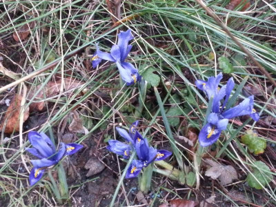 20160226_072819.jpg