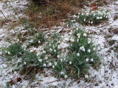 20160226_080343.jpg