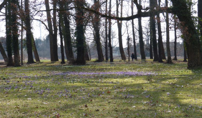 2016-02-27 Uebigau 2.jpg