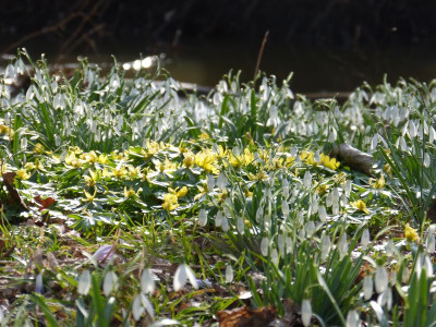 2016-02-27 Uebigau 4.jpg